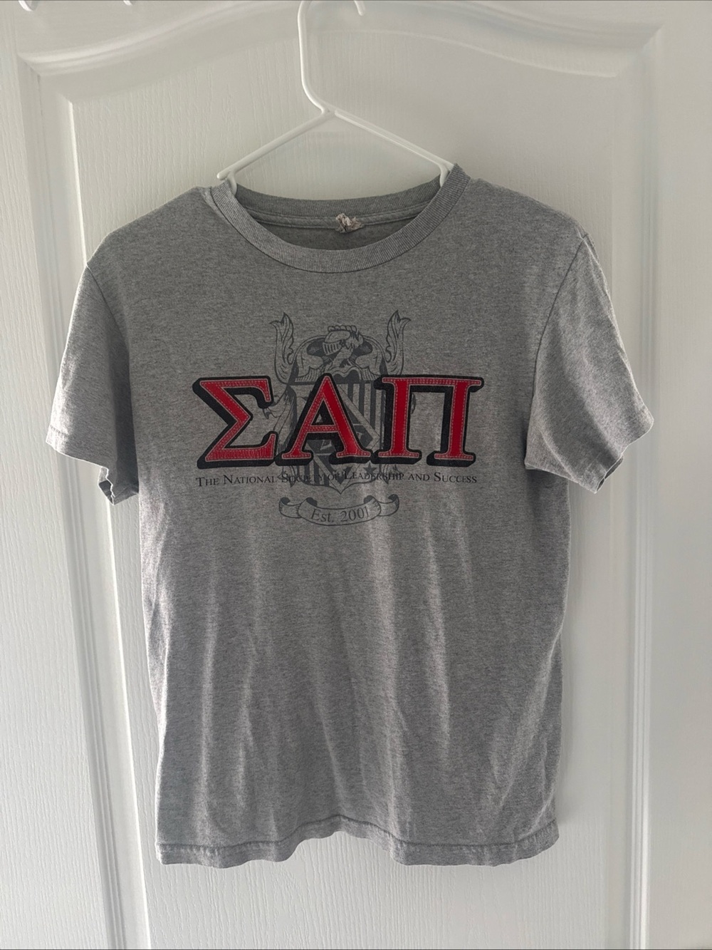 Alstyle Gray T-Shirt with Red Sigma Alpha Pi Letters
